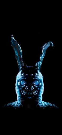 an animal with glowing blue eyes in the dark, it's head turned to look like a rabbit