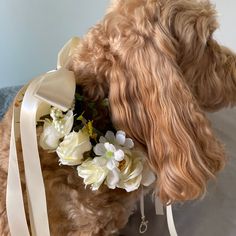 the dog is wearing a flower crown on it's head and has flowers in its mouth