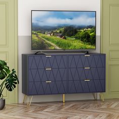 a flat screen tv sitting on top of a blue cabinet next to a potted plant