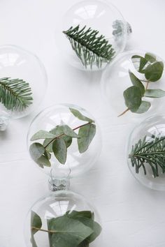 three clear glass vases filled with green leaves and greenery on a white surface