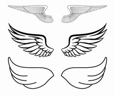 two wings with different shapes and sizes