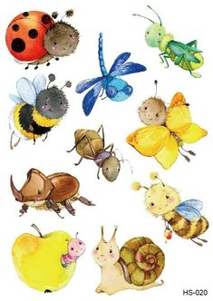 an image of bugs and insects in watercolor