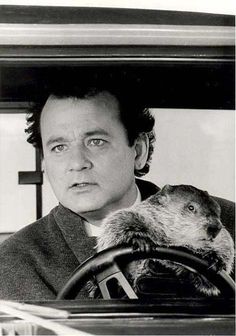 a man driving a car with an animal on the steering wheel in front of him