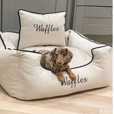 a dog laying on top of a bed with two pillows that say waffles and waffles