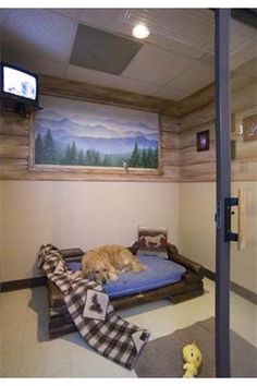 a dog laying on top of a bed in a room next to a tv screen