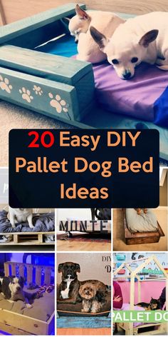 20 easy diy pallet dog bed ideas that are perfect for small dogs and cats