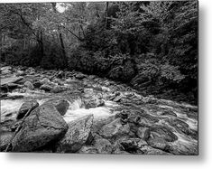 a black and white photo of a river in the woods