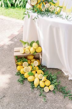 lemons and greenery are arranged on the ground next to a table with white cloth