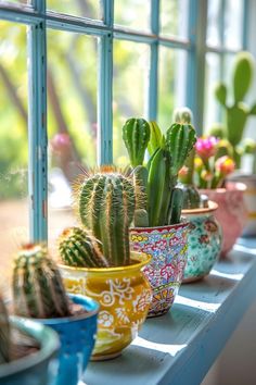 several potted plants are sitting on a window sill