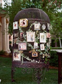 a birdcage decorated with photos is shown on an iphone screen, and the text reads birds cage decor