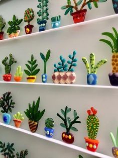 many different kinds of plants are on the shelves in front of each other, and one is painted white