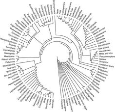 a circular diagram with words in the middle and an arrow pointing up to it's center