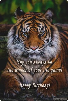 a tiger laying down with the caption happy birthday may you always be the winner of your life game