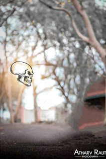 a drawing of a skull on the ground in front of some trees and buildings with sunlight coming through