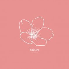 a white flower on a pink background with the word sauna written in it's center