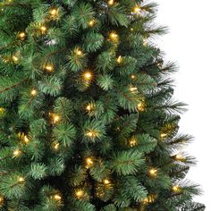 a large christmas tree with lights on it's branches and the bottom half is green