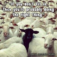 a herd of sheep standing next to each other with a quote above it that reads, don't change so people will like you be yourself and the right