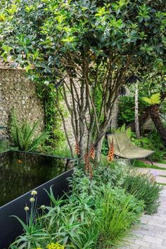 an outdoor garden with water and plants