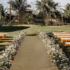 rows of wooden benches lined up in front of palm trees and white flowers on the grass