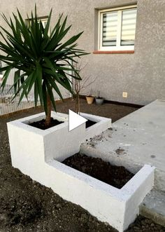 a potted plant sitting on top of a cement block in front of a house