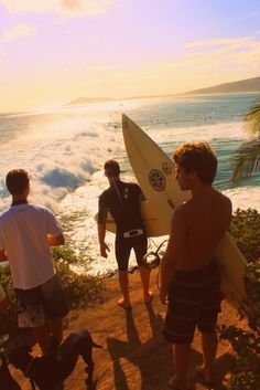 three men standing next to each other with surfboards in their hands and the caption says, stalk not guys together