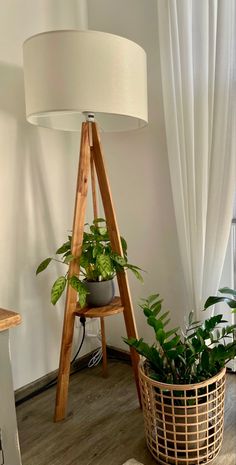 a lamp that is next to a potted plant in a basket on the floor