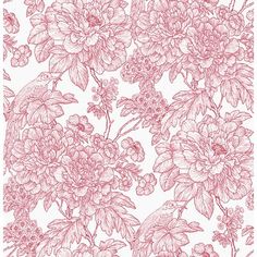 pink flowers and leaves on white paper with red ink drawing style, in the background