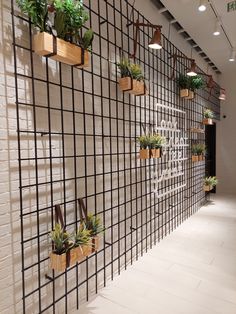 a wall with many plants on it and hanging from the ceiling in front of them