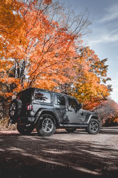 a jeep parked on the side of a road in front of trees with orange leaves