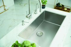 a stainless steel kitchen sink with two faucets and some vegetables on the counter