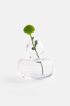 a single flower in a glass vase on a white surface with no one around it