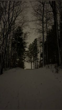 a snowy path in the woods at night