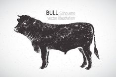 a black and white drawing of a bull with the words bull silhouetted on it