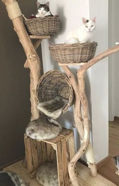 two cats are sitting in baskets on top of a wooden tree branch stand that is made out of branches