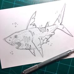 a drawing of a shark with its mouth open