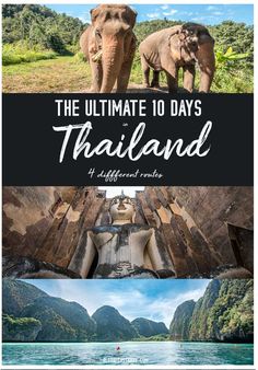 the ultimate things to see and do in thailand with text overlay that reads, the ultimate