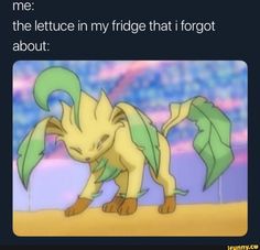 a pokemon meme with the caption that reads, me the lettuce in my fridge that i forgot about