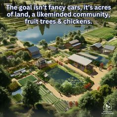 a bird's eye view of a farm with trees and chickens in the foreground