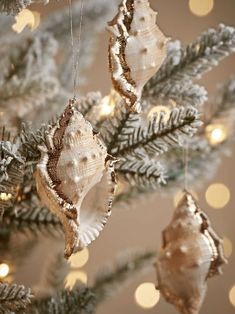 seashells are hanging from the branches of a christmas tree