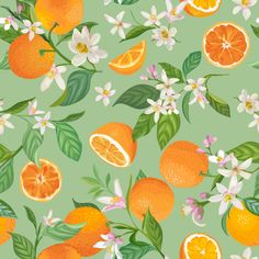 an orange pattern with flowers and leaves on a white background