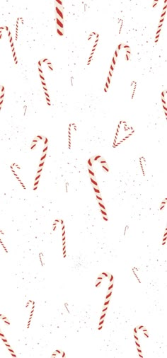 red and white candy canes on a white background