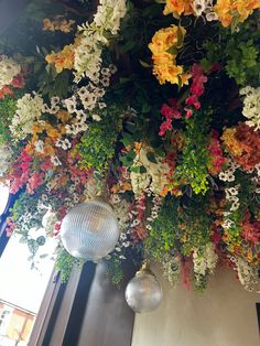 the flowers are hanging from the ceiling in the room