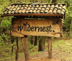 a wooden sign with the word wilderness written on it in front of some trees and bushes