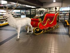 a white reindeer standing next to a red and gold sleigh in a store