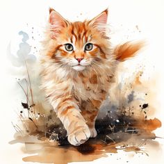 a watercolor painting of a cat walking on the ground with it's paws in the air