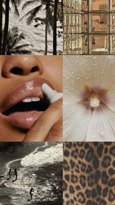 a collage of photos with people in the water, trees and an animal print umbrella