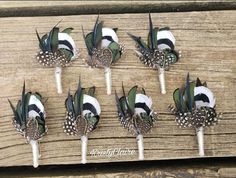 six black and white bird lollipops with feathers on them