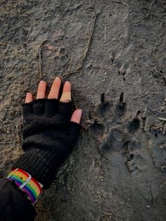 a person's hand with a black glove on their left and paw prints on the ground