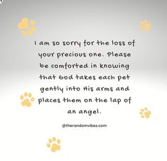 90 Sympathy Quotes For Loss Of Pet And Pet Loss Messages Pet Sympathy Messages, Cat Loss Sympathy Messages, Sorry For The Loss Of Your Cat, Pet Condolences Dogs Sympathy Messages, Dog Condolences Loss Of Pet Sympathy Messages, Dog Loss Sympathy Messages, Loss Of Dog Sympathy, Dog Died Quotes Sympathy, Sorry For The Loss Of Your Dog