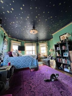 a cat is laying on the floor in a room with stars painted on the ceiling